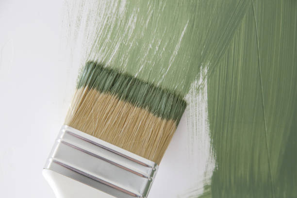 The Hills, TX Mold Removal Company