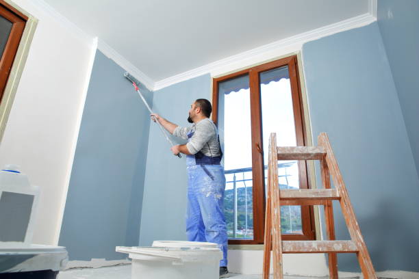 Best Biohazard Mold Removal  in The Hills, TX
