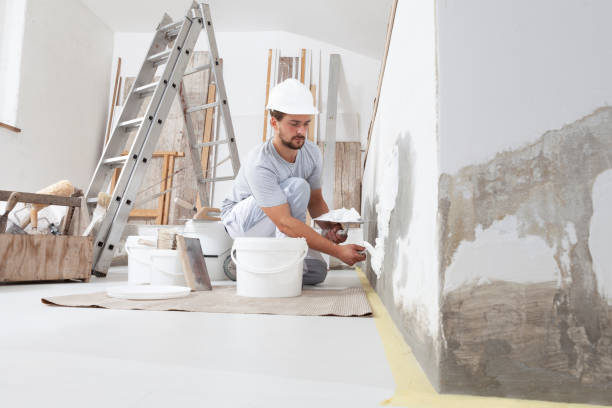 Best Mold Removal for HVAC Installations  in The Hills, TX