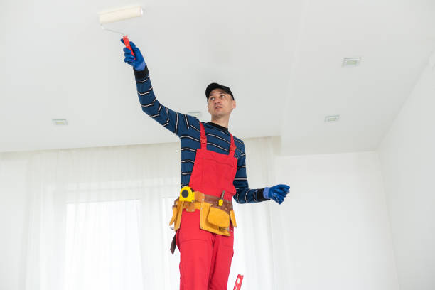 Best Mold Remediation for Healthcare Facilities  in The Hills, TX