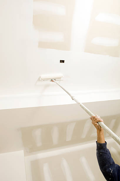 Best Black Mold Removal  in The Hills, TX