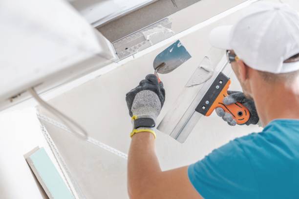 Best Mold Odor Removal Services  in The Hills, TX
